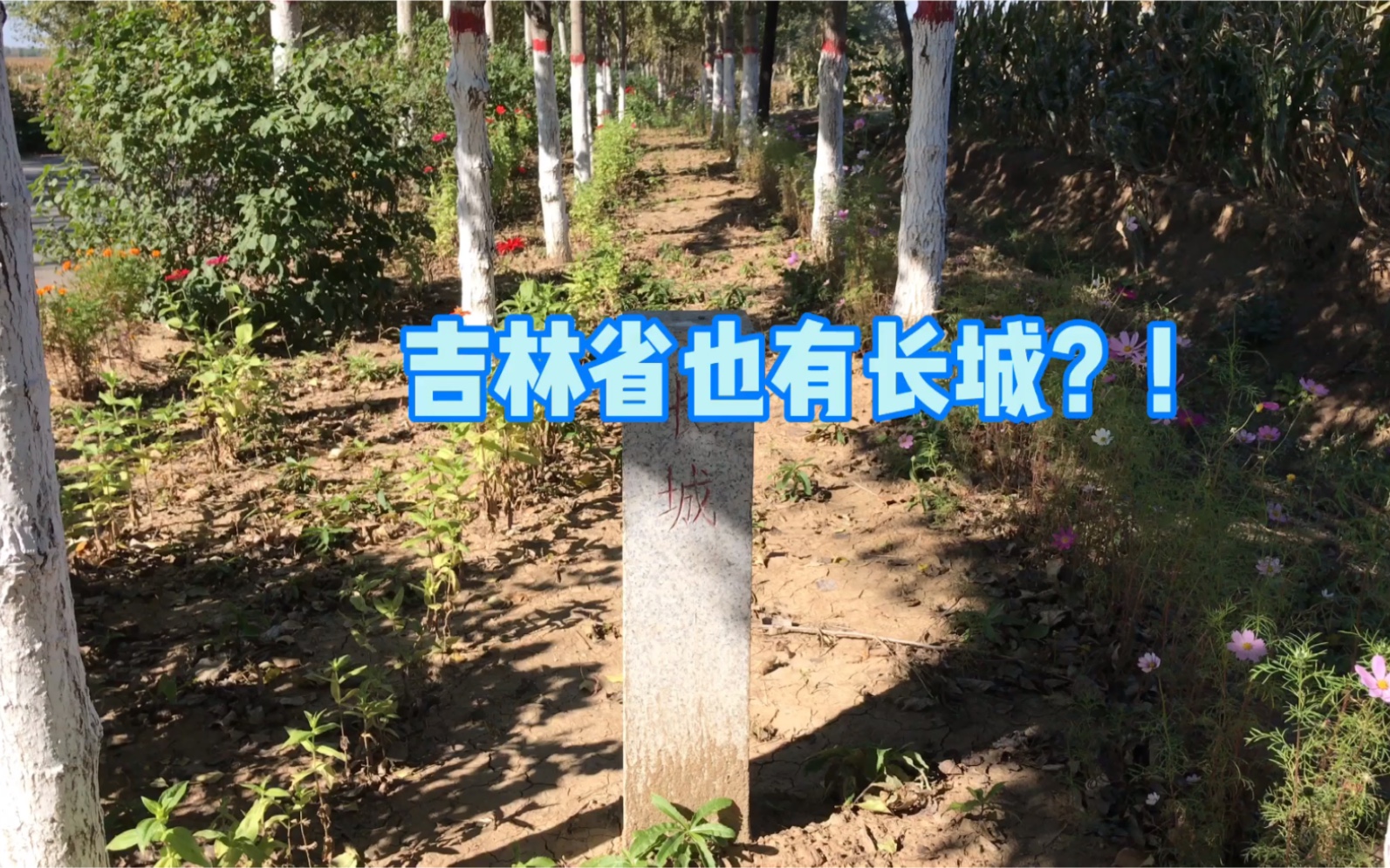 吉林省也有长城?哔哩哔哩bilibili