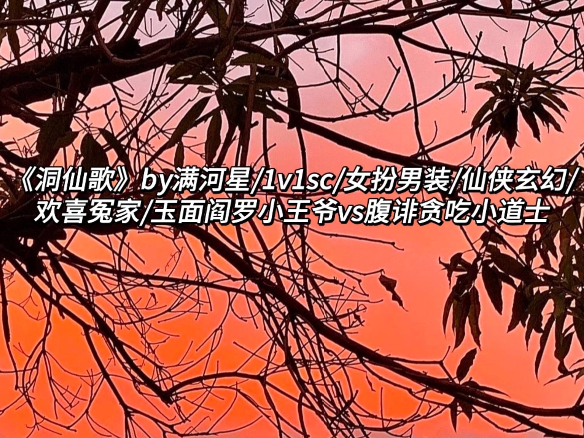 《洞仙歌》by满河星