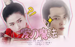 叶灵儿 搜索结果 哔哩哔哩 Bilibili