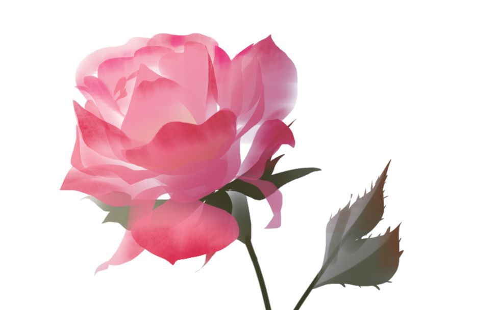 ps用套索绘制花朵新手向