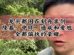 Tải video: 5.2光伏龙头都困在刻舟求剑，隆基、中环、通威和爱旭，全都在偏执的豪赌#光伏 #财经 #储能