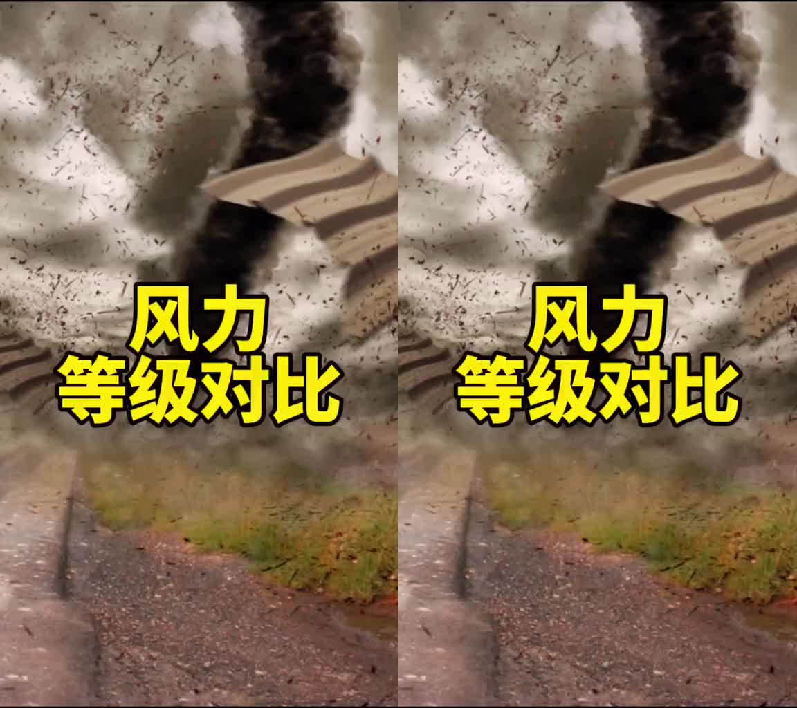 你经历过的最大的风是什么样的?今天我们感受一下不同等级的风力哔哩哔哩bilibili