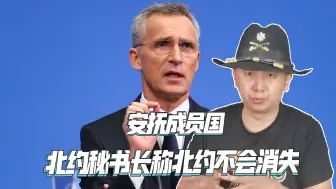 下载视频: 担心特朗普上台，北约秘书长提前安抚成员国，称北约不会消失