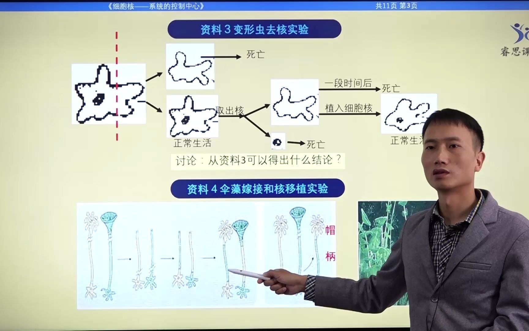 [图]133细胞核的结构和功能