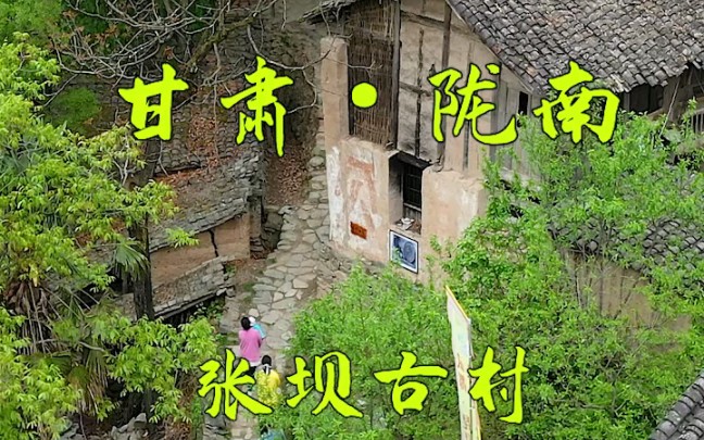 [图]这里是甘肃陇南的张坝古村，村民靠山吃山，村里的道路、阶梯、屋基用石头垒砌，泥巴夯土#康养陇南五一游 #生态陇南康养胜地