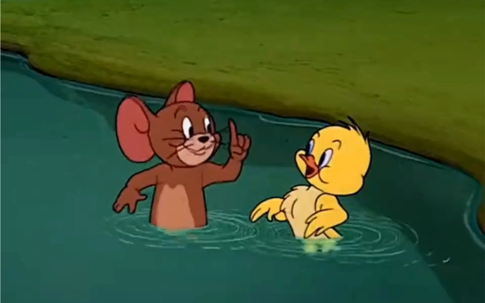 活动  老鼠教鸭子学游泳,真是一个敢教一个敢学