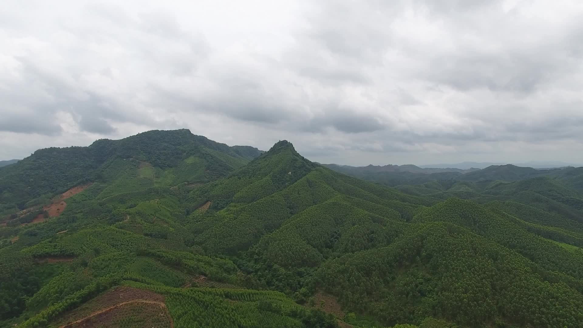 航拍广西扬名千里的龙脉宾阳县巨头岭山上种满了速生桉