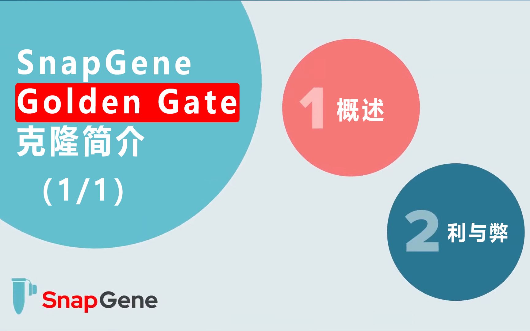 [图]SnapGene Golden Gate克隆简介