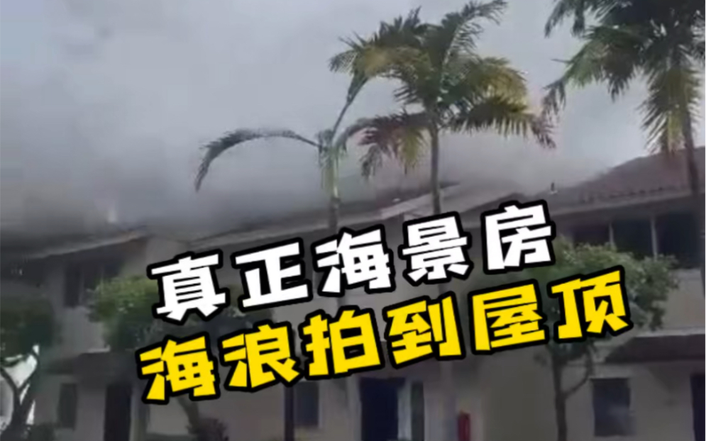 真正的海景房,海浪都能扑到屋顶上面去了,夏威夷考爱岛风景太漂亮了哔哩哔哩bilibili