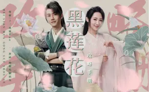 Download Video: 【黑莲花攻略手册】第一卷 替嫁【无配音版合集】