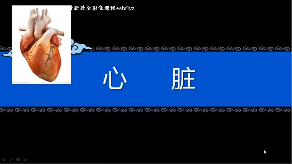 2024超声高级职称教程(副高)05:心脏哔哩哔哩bilibili