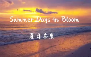 Download Video: Summer Days in Bloom夏日茶糜一首好听的歌