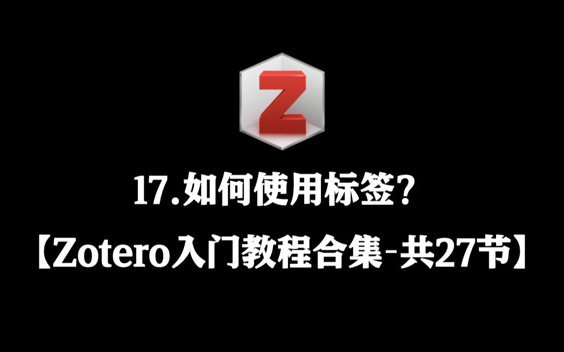 【Zotero入门教程合集】 17. 如何使用标签?哔哩哔哩bilibili