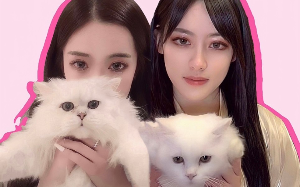 【迅猛龙特蕾莎×阿尔忒弥斯美伢】全程送礼|高甜|越往后越甜!