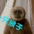 关于猴子的CG动画，，，电影《Monky》的视觉特效制作花絮