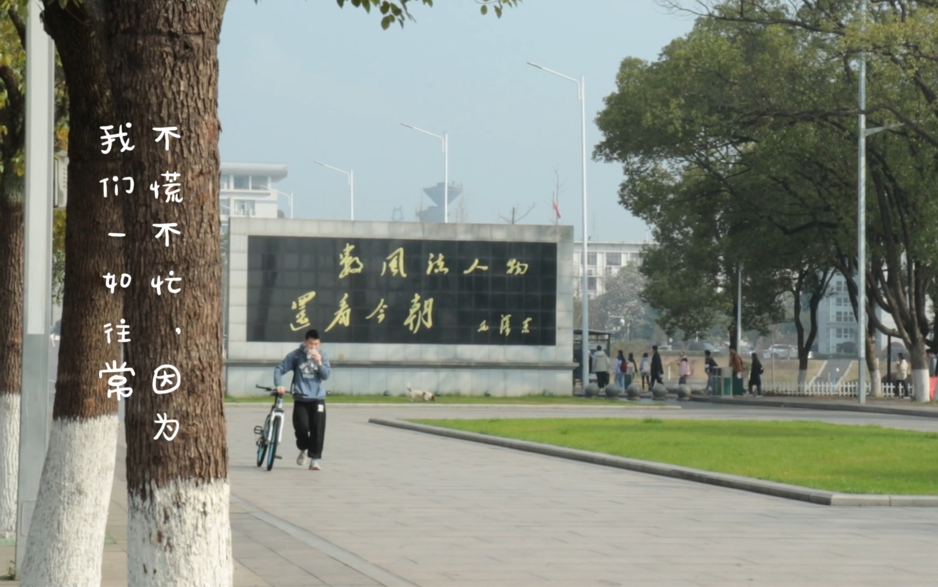 【湘潭大学】“生活的温度,都藏在每一个日常的镜头里”哔哩哔哩bilibili