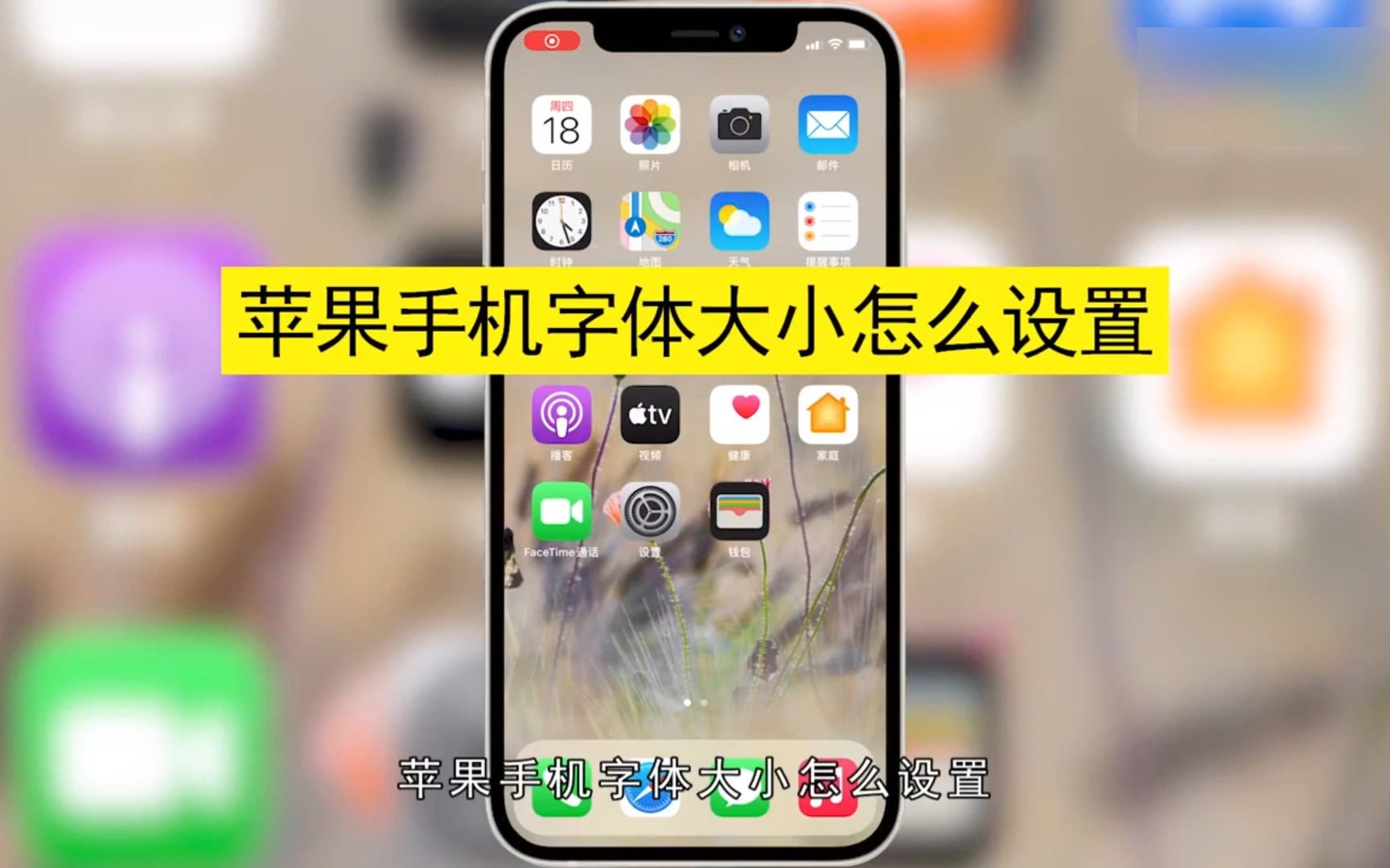 苹果手机字体大小怎么设置,苹果手机字体大小设置