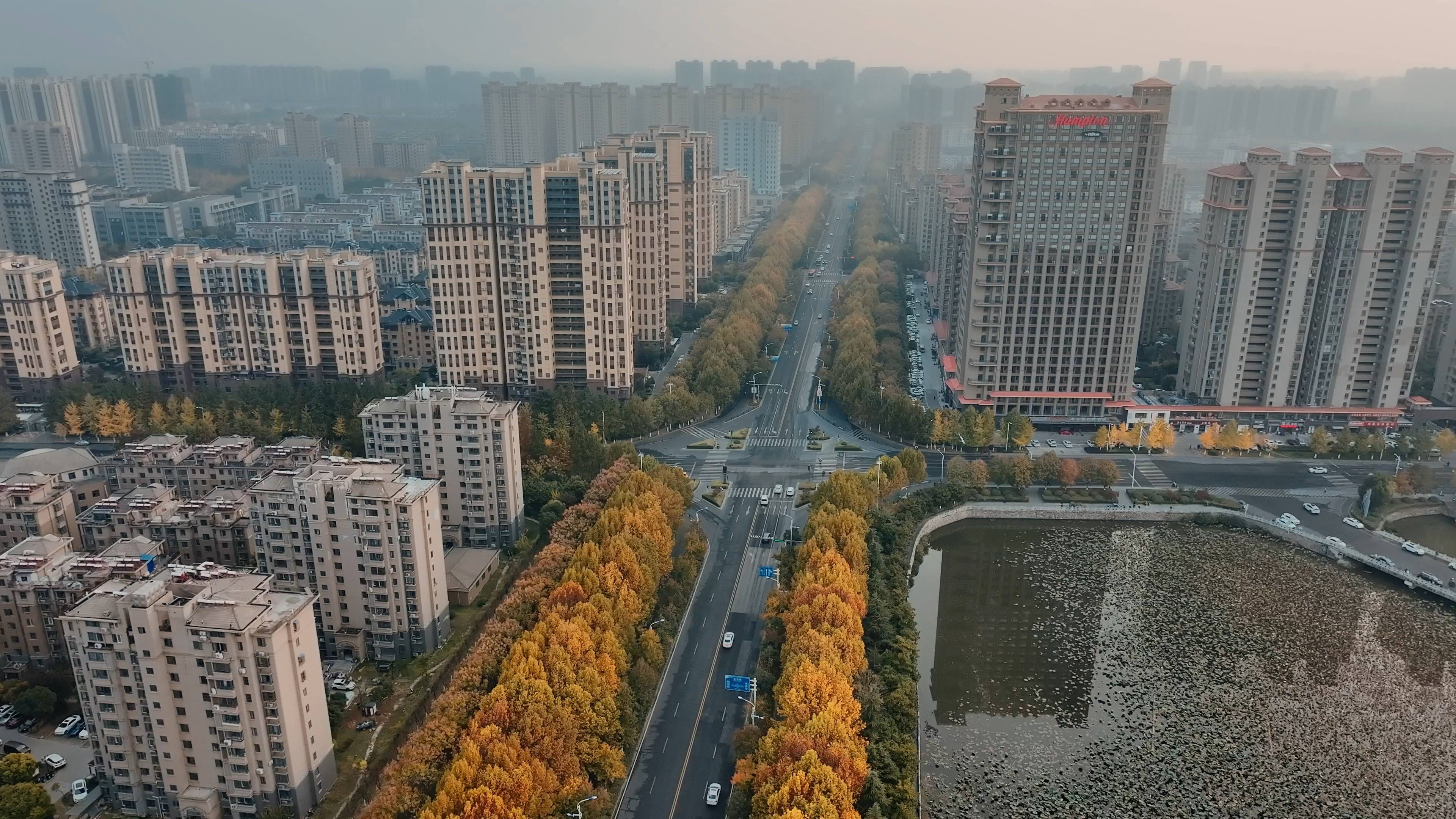 近日,泗阳上海北路的梧桐树悄然变黄,成为一道靓丽的城市风景线哔哩哔哩bilibili