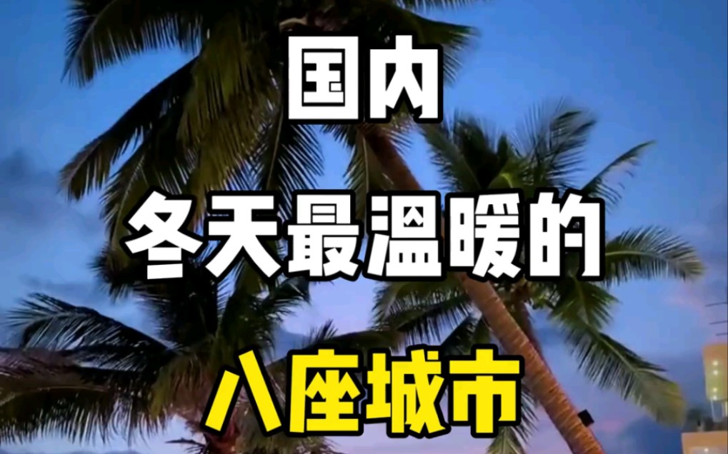 国内冬天最温暖的八座城市,你最想去哪座城市?哔哩哔哩bilibili