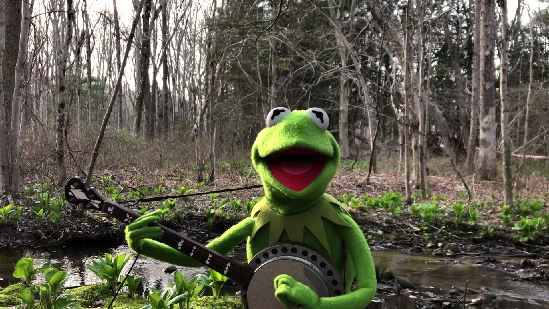 [图]A Special Performance of Rainbow Connection from Kermit the Frog | The Muppets