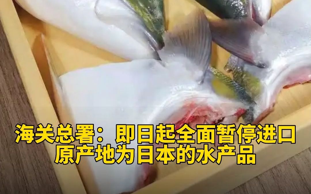 海关总署:即日起全面暂停进口原产地为日本的水产品哔哩哔哩bilibili