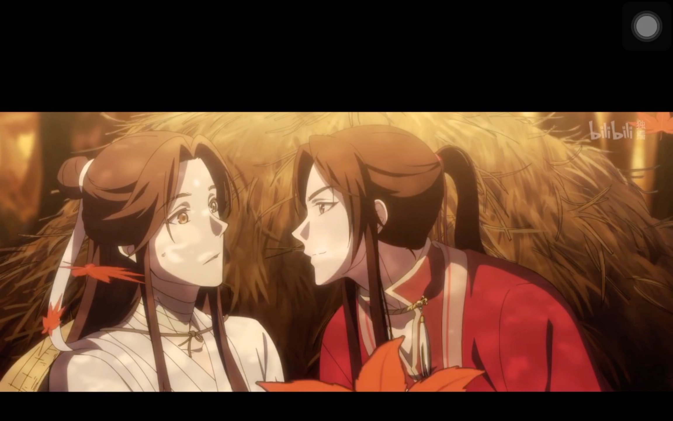 【天官赐福】怕是遇见你,就花光了我所有的好运气