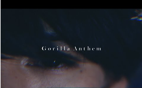 [图]【中文翻译】Gorilla Attack - Gorilla Anthem