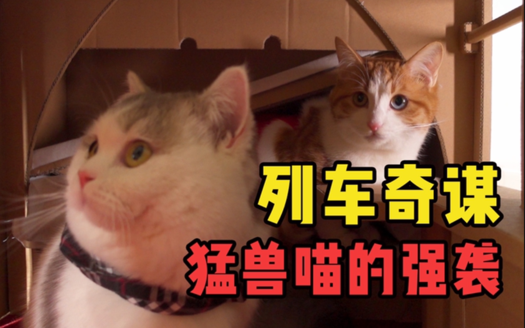 【列车奇谋4】猛兽喵的强袭 —— 纸箱猫剧系列哔哩哔哩bilibili