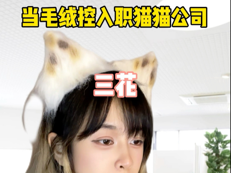 当毛绒控入职猫猫公司 3|每天都有新惊喜(吓)哔哩哔哩bilibili