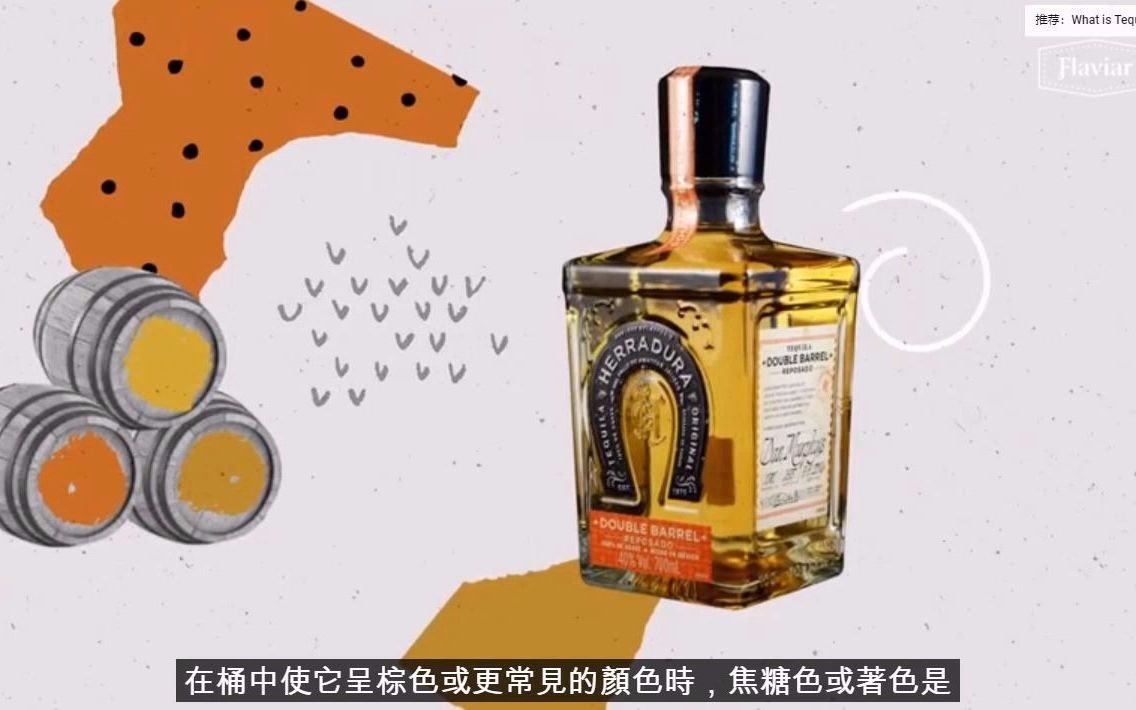 关于龙舌兰酒问的最多的5个问题 Top 5 Questions about Tequila 威士忌123网采编哔哩哔哩bilibili