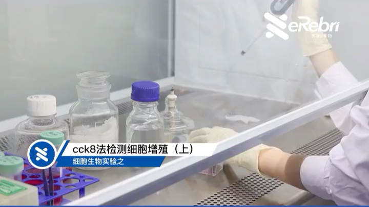 细胞生物实验:cck8法检测细胞增殖#广州医瑞贝生物#实验#科研哔哩哔哩bilibili