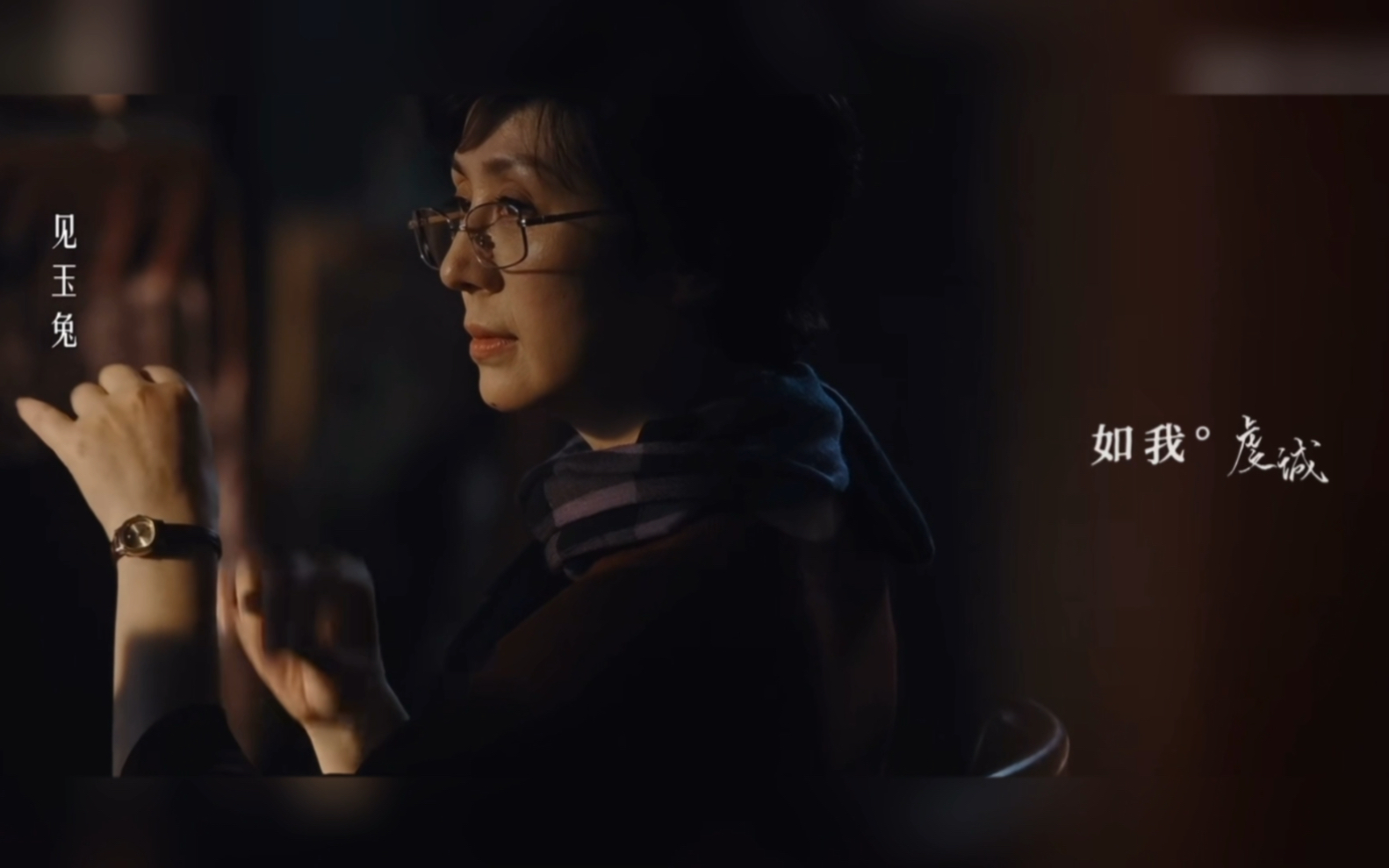 "往事流转在你眼眸"【史依弘-繁花】