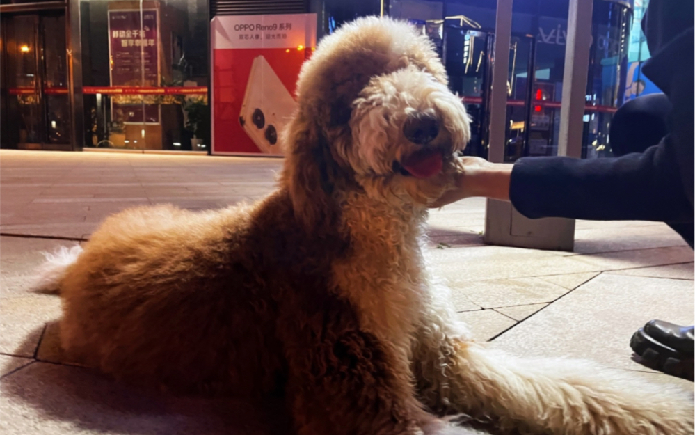 巨贵宝贝,运动加倍,初次见面,请多关照哦