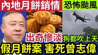 Download Video: 害死曾志伟！官方出手「严查美诚月饼」曾志伟刚签「疯狂小杨哥」有份网购！内地中秋「月饼销情」出奇惨淡！上海遇「建国以来」超强颱风！连狗都被吹上天？