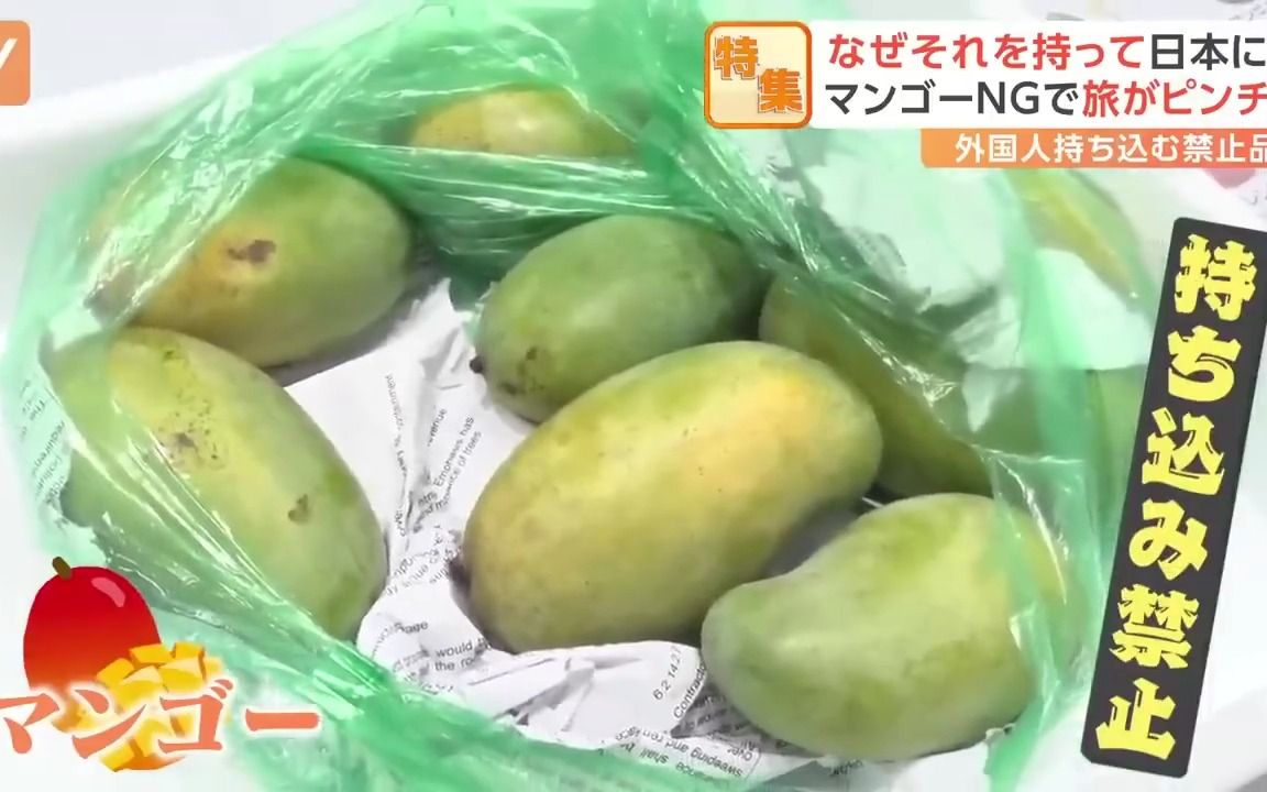 [图]【中日字幕】日本入境检查检出各种禁止入境的物品