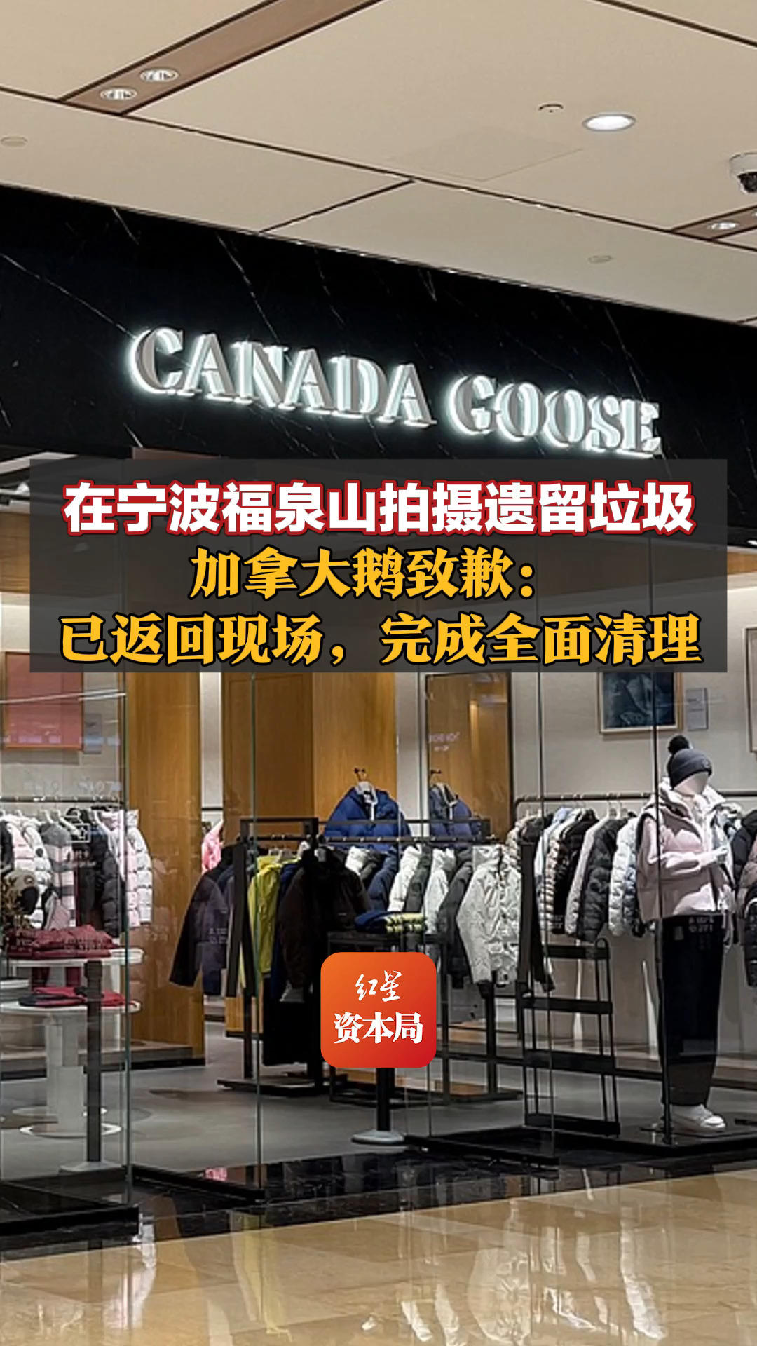 在宁波福泉山拍摄遗留垃圾，加拿大鹅致歉：已返回现场，完成全面清理，承诺每周六巡查清理，持续一整年