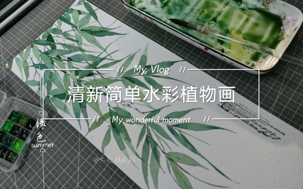 【水彩】清新治愈的植物画过程分享~哔哩哔哩bilibili