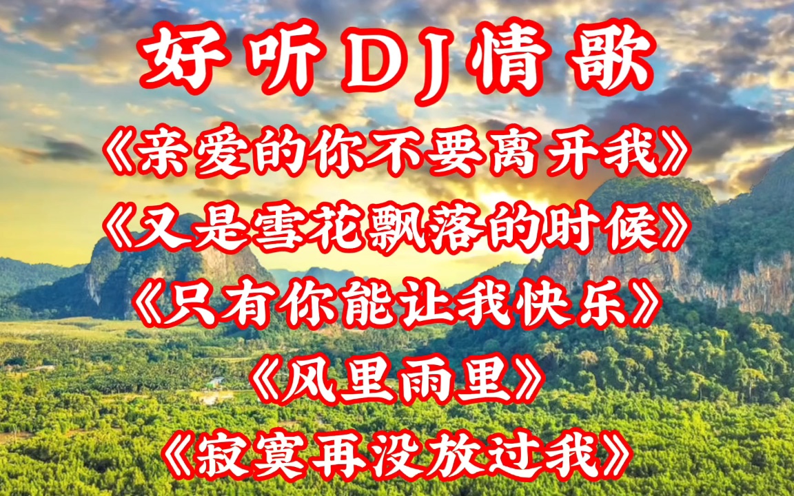 [图]DJ情歌《亲爱的你不要离开我》《又是雪花飘落的时候》