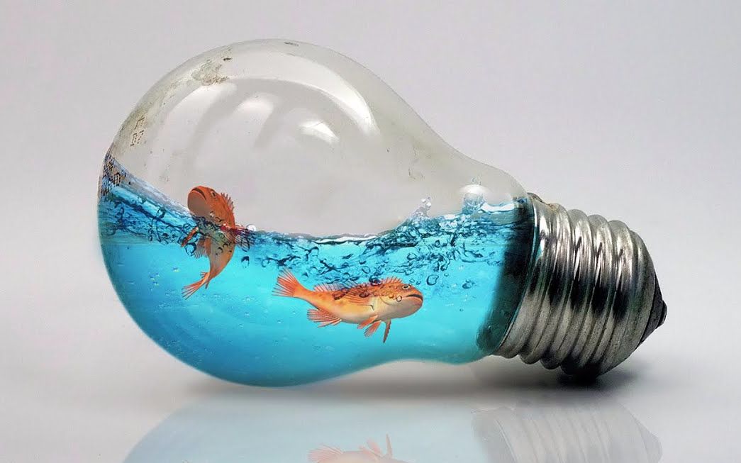 photoshop实现鱼在灯泡里游泳