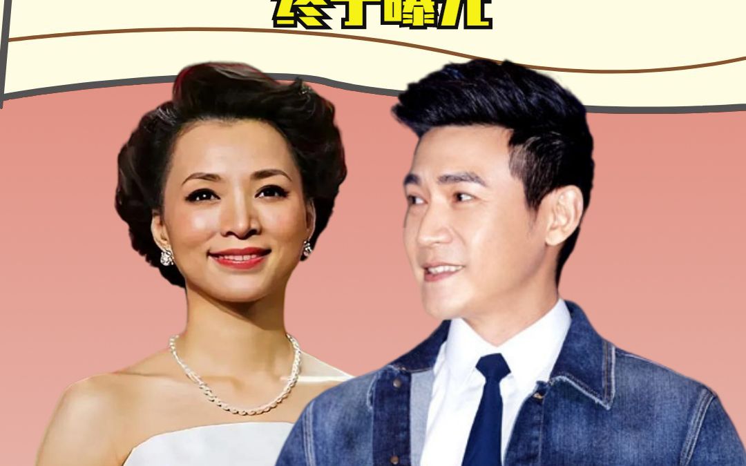 隐瞒了这么多年,董卿与陆毅的真实关系终于曝光,难怪鲍蕾也有危机感