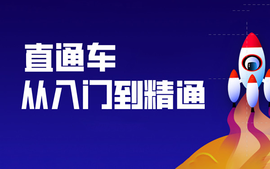 [图]电商运营 直通车推广轻松入门 淘宝运营 电商高级运营系列课程【142集】