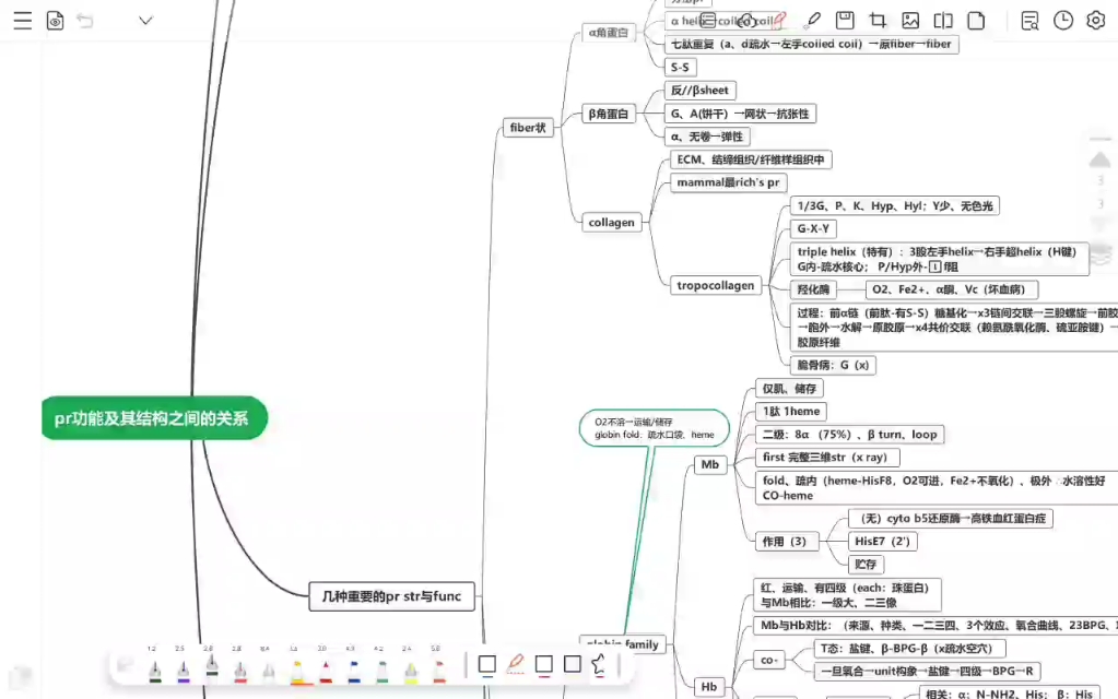 【生物化学】蛋白质结构与功能之间关系 胶原蛋白 肌/血红蛋白 思维导图串联速背哔哩哔哩bilibili