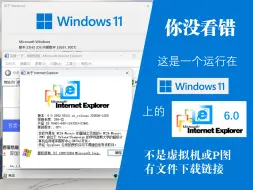 Download Video: 【B站首发】是的，这是一个运行在Win11上的IE6