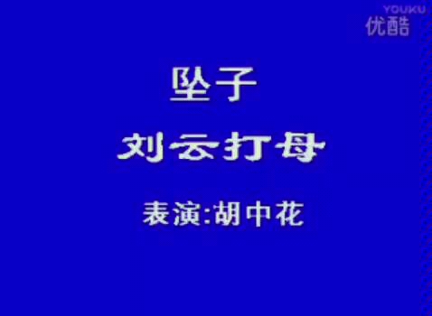 [图]胡中花河南坠子《刘云打母》