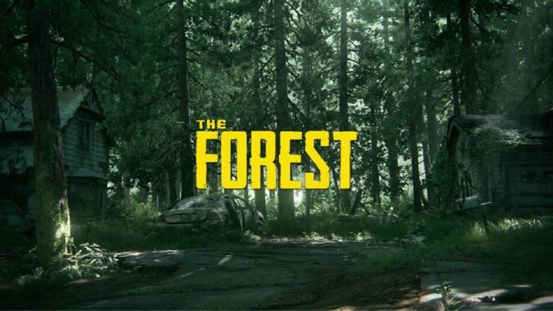 挂b?theforest 2024-06-13
