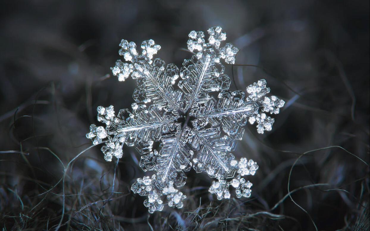 微观摄影 | alexey kljatov | 10年拍雪花