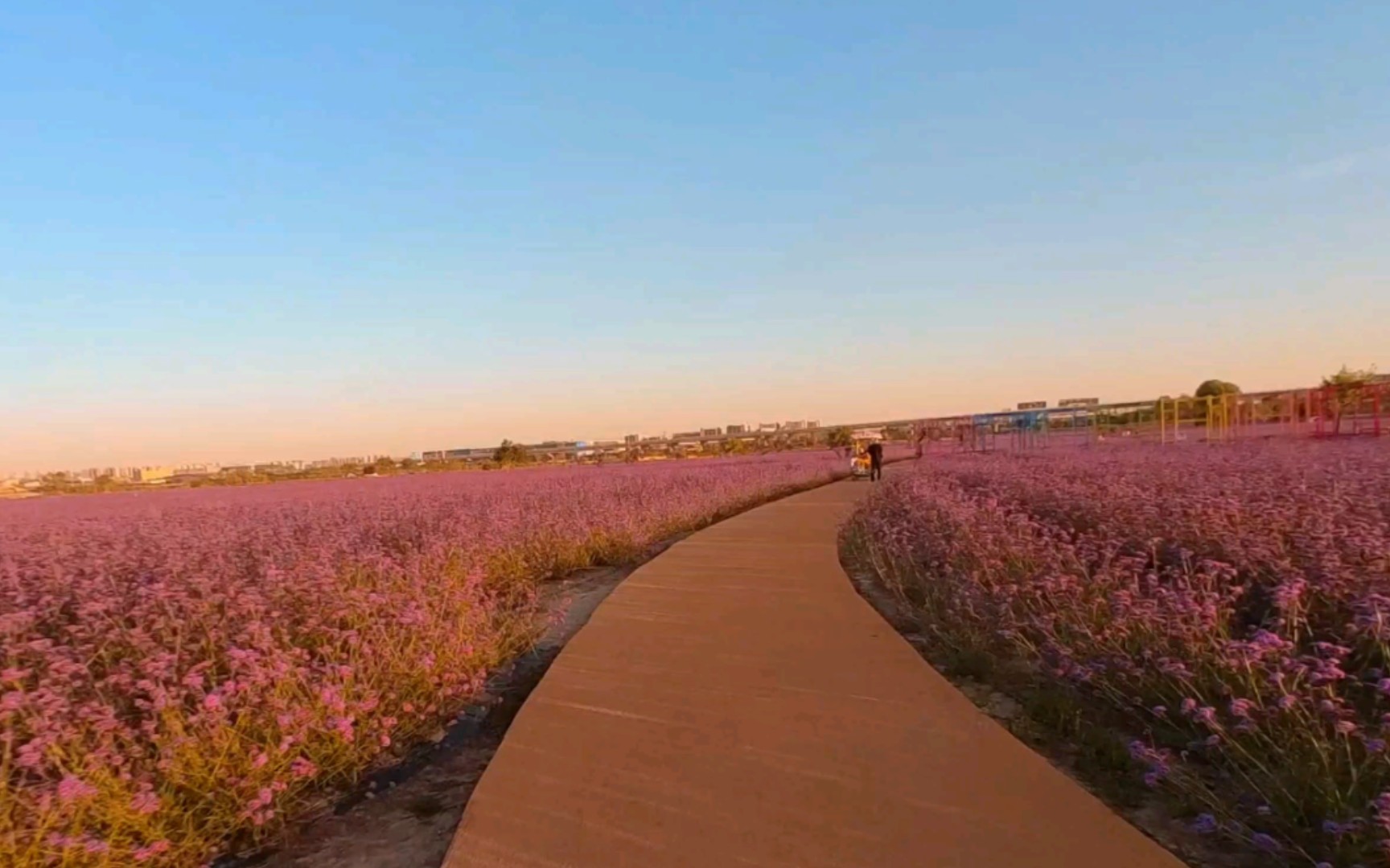 【云游】兰州新区,临港花海,美丽如画的风景!