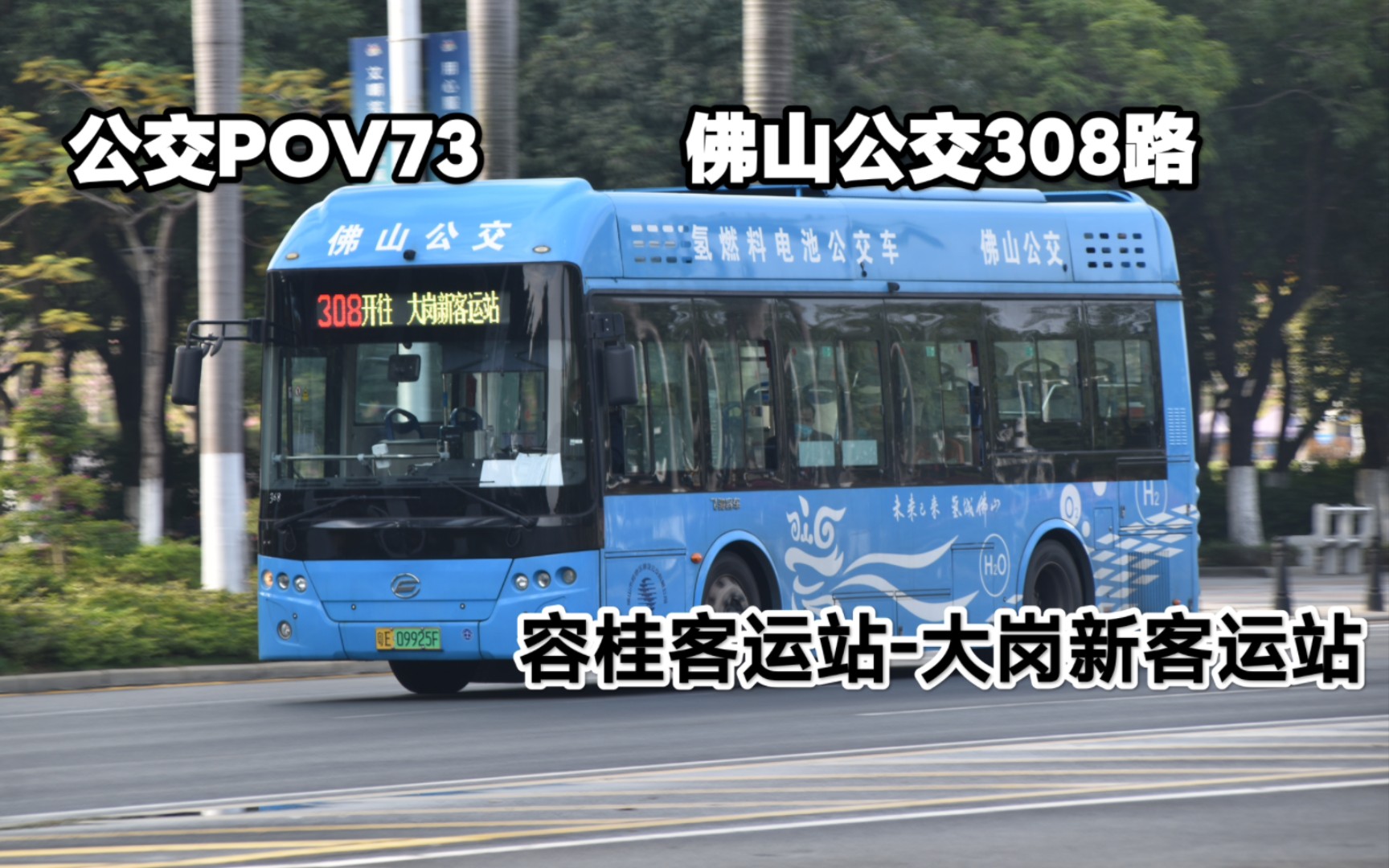 【春节作】【公交pov73】佛山公交308路(容桂客运站-大岗新客运站)