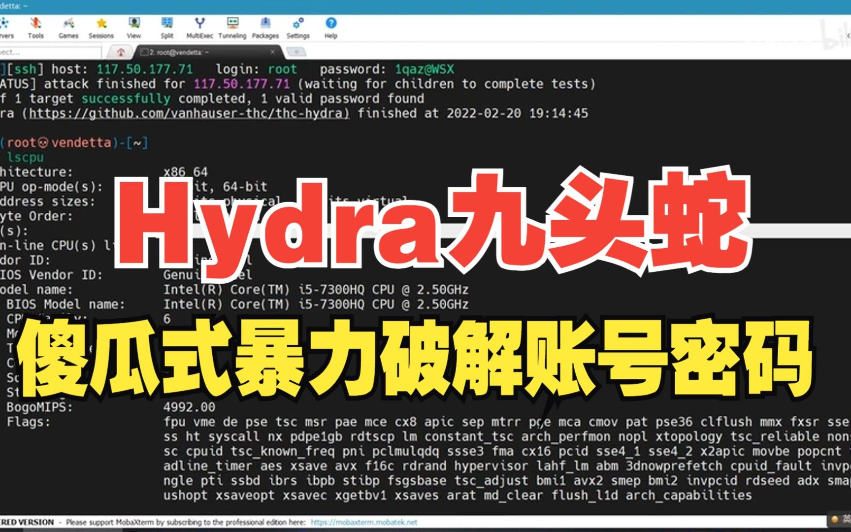 [图]【Hydra九头蛇】10秒钟傻瓜式暴力破解账号密码（附安装包&字典），kali_web_渗透测试_网络安全_密码破解工具