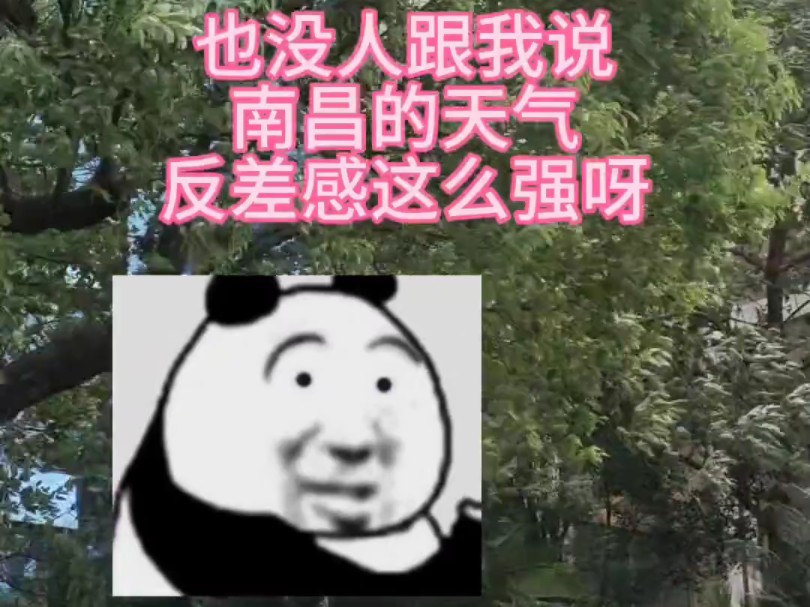南昌妖风比台风更可怕